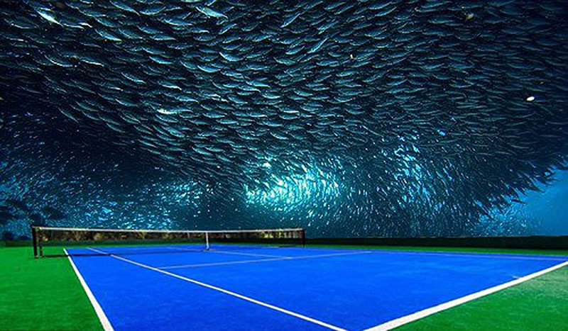 Now Play Tennis Underwater !